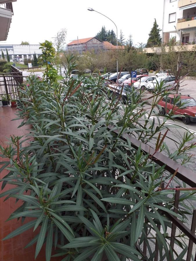 Sesto Calende Centro Apartment ภายนอก รูปภาพ